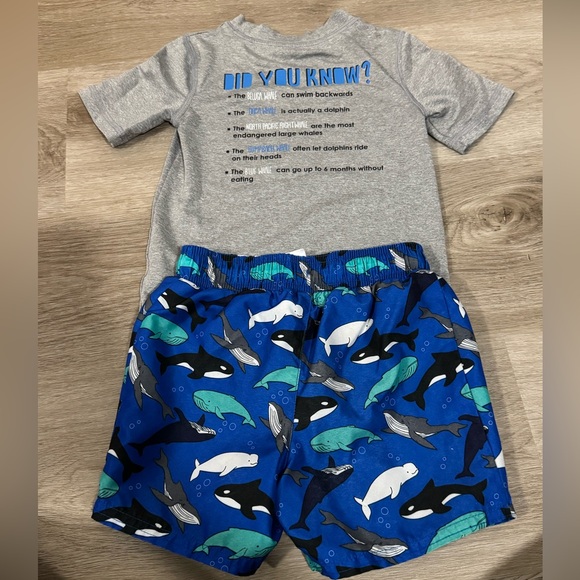 Cat & Jack 2 Sets Whale Themed Rashguard Set - Picture 3 of 7